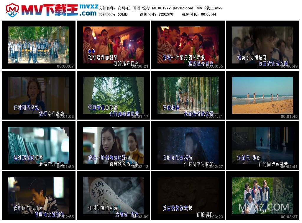 高羽-任_国语_流行_MEA01972